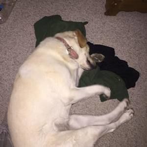 Meet your Posher, William